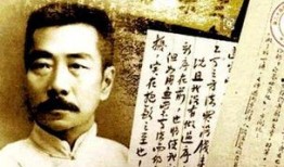 鲁迅最新爆料视频播放大全